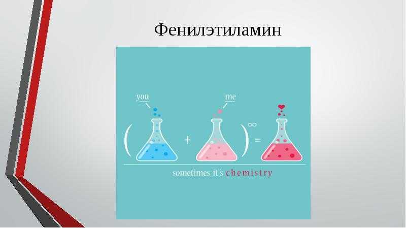 Химия любви - это болезнь, гормоны, феромоны, исследования ученых, сколько длится реакция | азбука здоровья