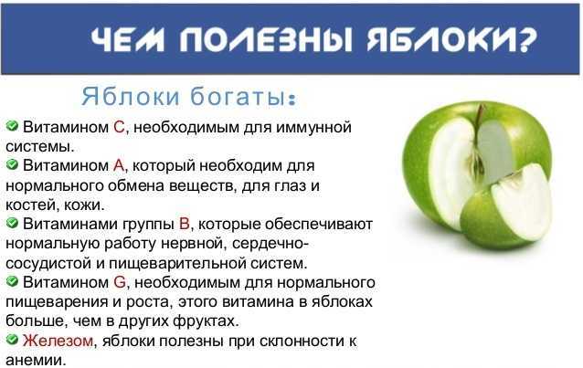 Что будет с организмом, если каждый день есть яблоки : новости, яблоки, здоровье, фрукты, рацион питания, иммунитет, красота и здоровье