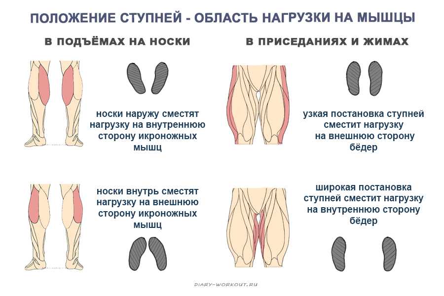 Положение стоп. Правильное положение стопы. Положение стоп при приседаниях.