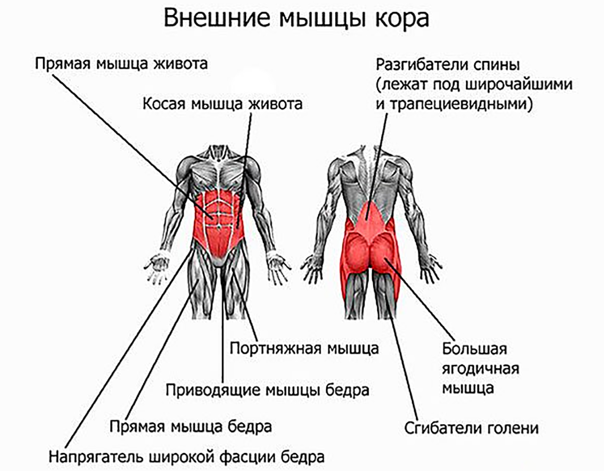 Можно греть мышцы. Мышцы стабилизаторы поясничного отдела позвоночника.