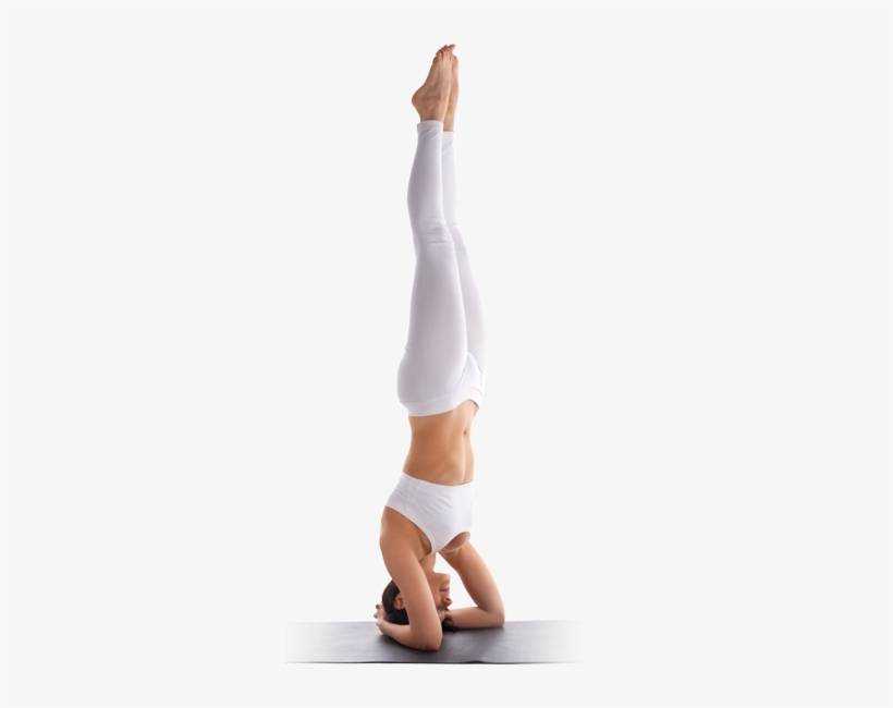Самая эффективная и полезная поза в йоге – королева всех асан ширшасана или стойка на голове