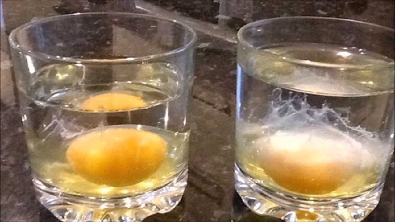 Яйцо в стакане порча