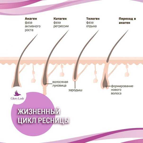 Стресс и цикл роста волос - unibeauty.ru