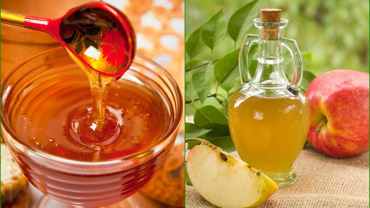 Когда эликсир жизни превращается в яд: почему ни в коем случае нельзя добавлять мед в горячие напитки
