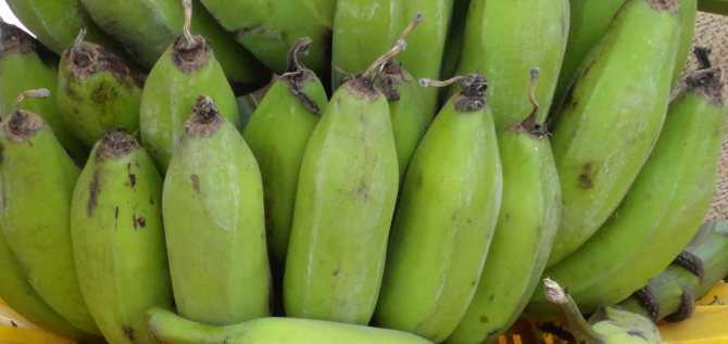 Кириллица  | банан: что не так с этим популярным фруктом