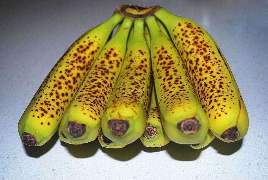 Почему бананы могут исчезнуть с лица земли?