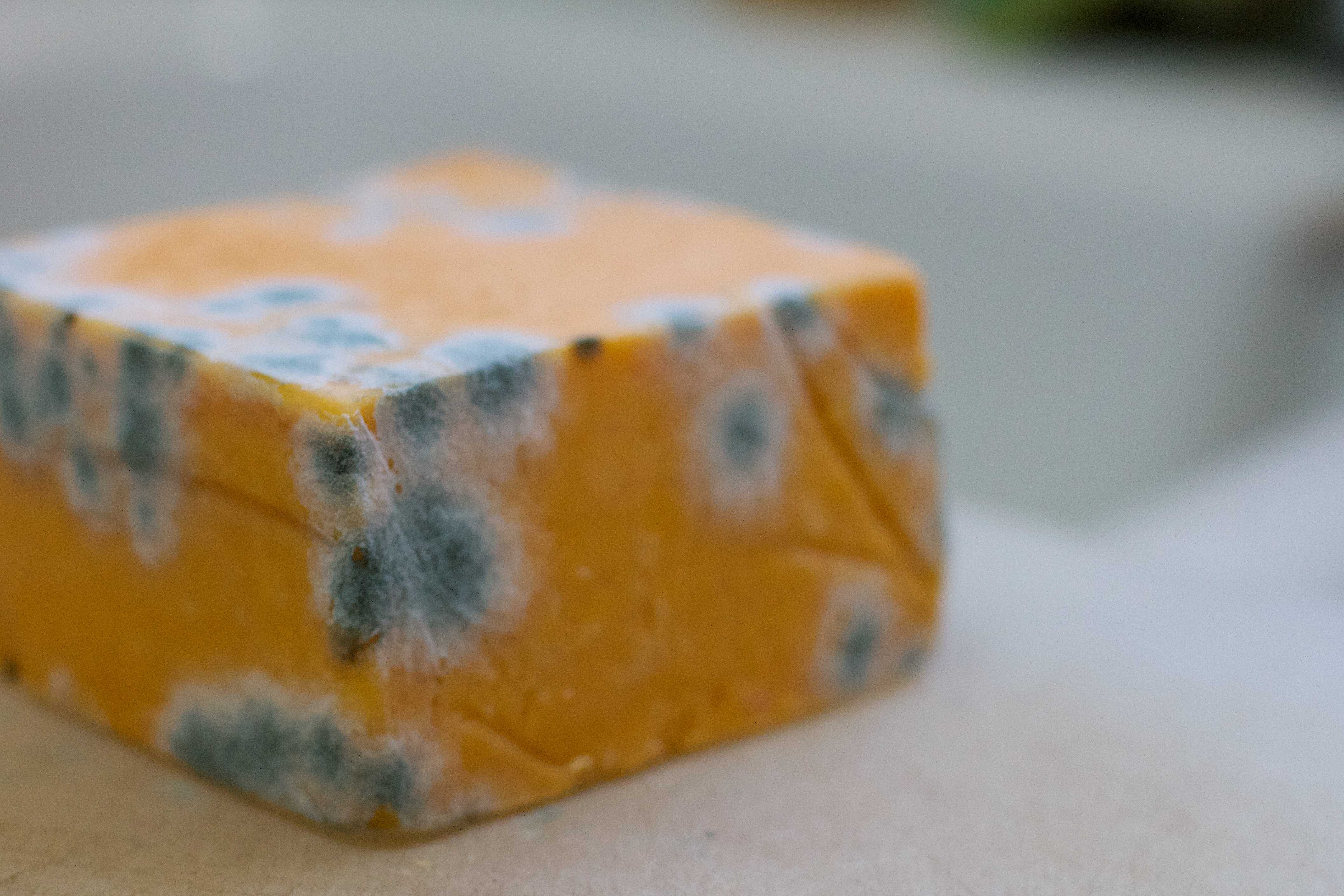 Правила долгого хранения сыра разных сортов в холодильнике и не только