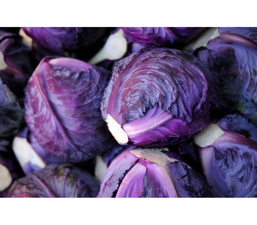 ✅ фрукты и овощи фиолетового цвета - v-recept.ru