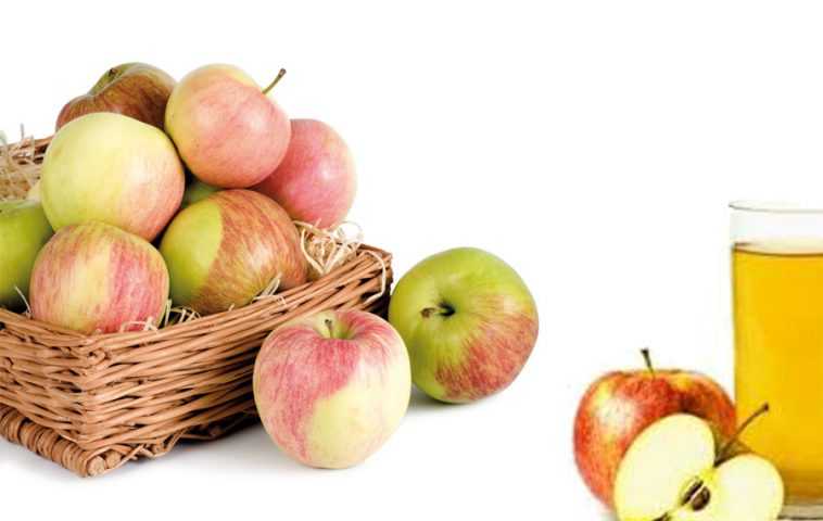 Почему нужно есть яблоки каждый день, объяснили учёные