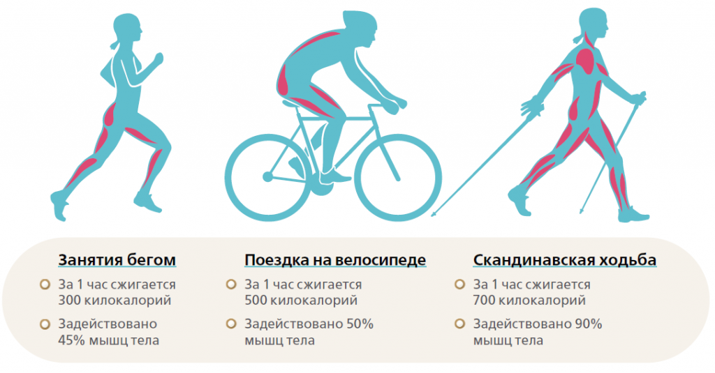Польза и вред велосипеда, какие мышцы работают, как выбрать