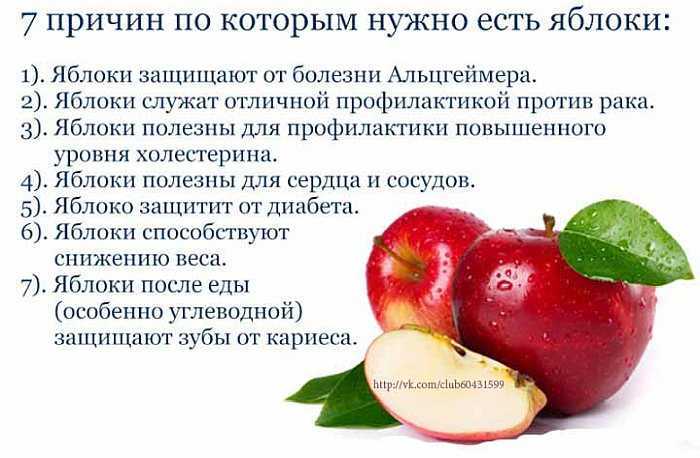 Спасти витамины! сохраняются ли в яблочных заготовках полезные вещества? | правильное питание | здоровье