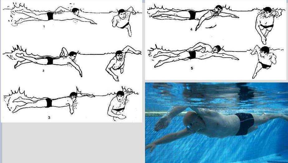 Советы тренеров: как быстро плавать и ставить рекорды