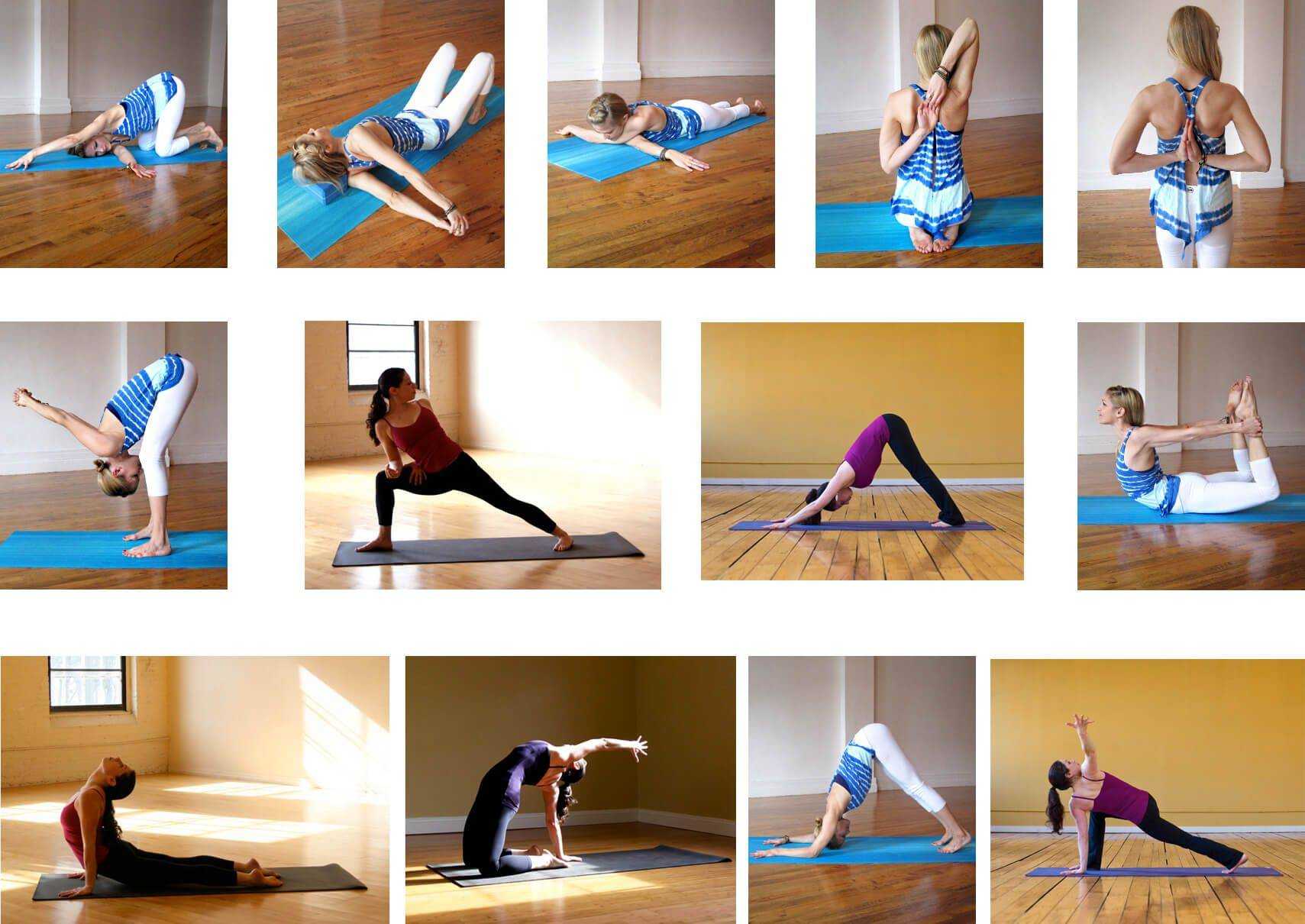 Основные асаны для начинающих — 30 поз йоги для новичков