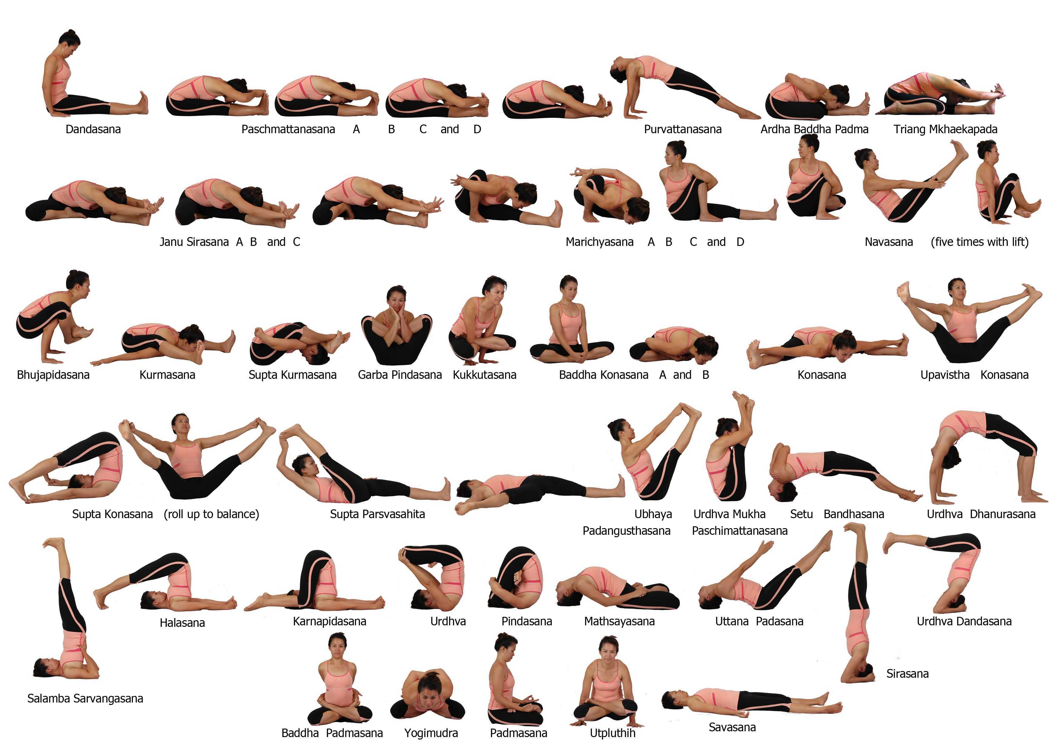 Направления йоги - стили и разновидности