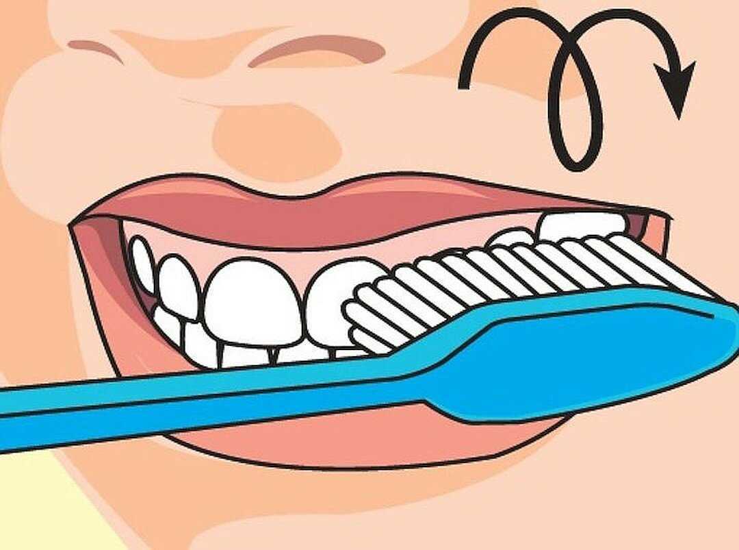 Полезно чистить зубы. Метод Фонеса чистки зубов. Алгоритм чистки зубов. Чистка зубов рисунок. Зуб иллюстрация.