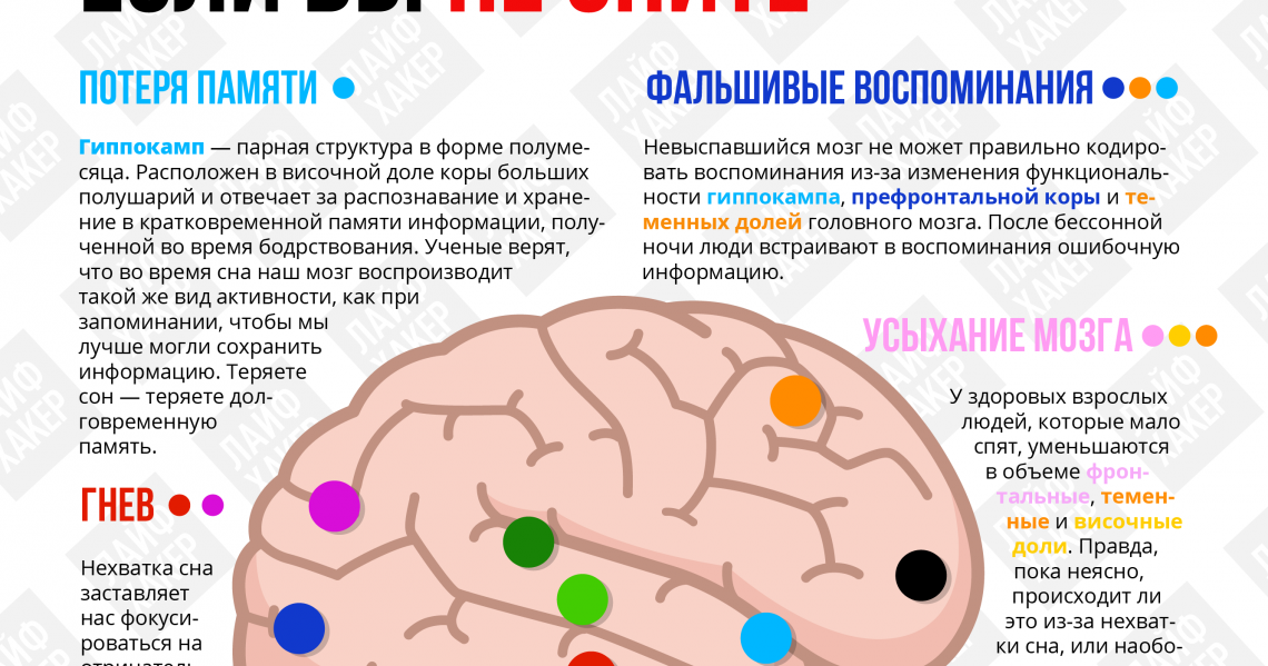 Что вредит нашему мозгу?